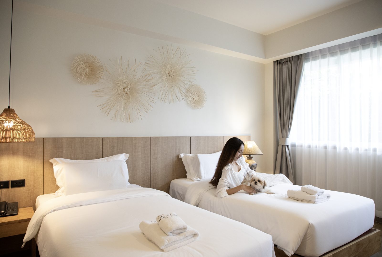 Pet-Friendly Signature Suite with guest and dog