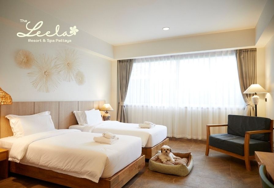 Pet-Friendly Signature Room พร้อมที่นอนสัตว์เลี้ยง